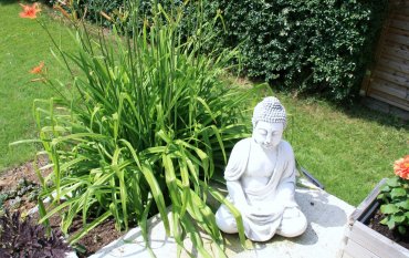 Unser Garten