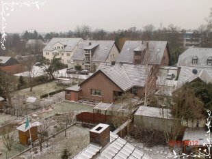 Winter 2011/12