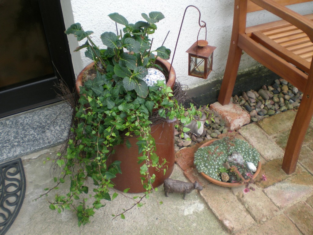 Garten 'Garten' - Unser kleines Haus - Zimmerschau