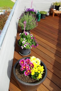 Terrasse / Balkon 'Blumen auf der Dachterrasse'