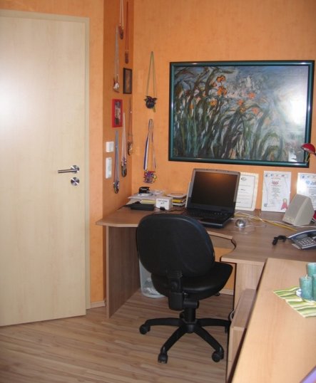 Arbeitszimmer / Büro 'Büro und Gästezimmer'