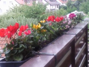 Herbstbepflanzung