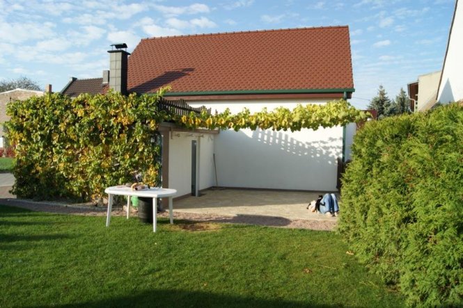 Die Terrasse überwächst gerade mit Wein als Sonnenschutz.