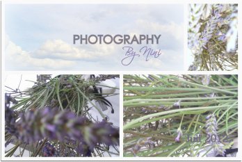 Natur & ich