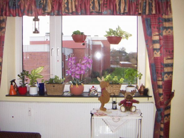 Das Blumenfenster im Wohnzimmer