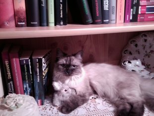 Lucy