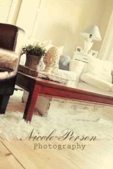 French Chic Living Room