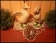 Ostern: Frohe Ostern