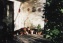 Terrasse/Balkon: Terrasse