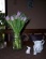 Deko: Frühling 2010-2012