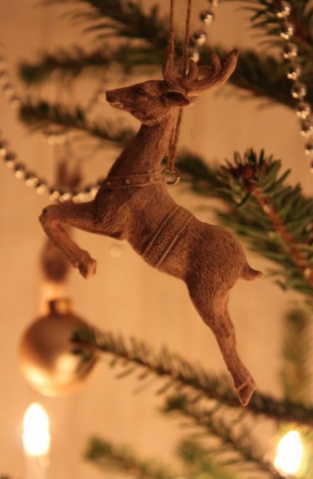 Hirschi auch am Weihnachtsbaum! :))