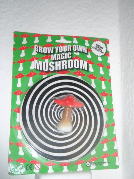 Flur/Diele 'Magic Mushroom!'