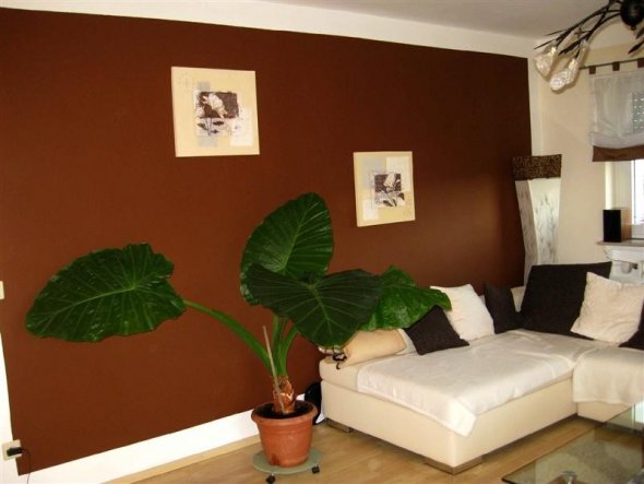 Wohnzimmer 'wohnzimmer' mein wohnzimmer zimmerschau Wohnzimmer braun orange