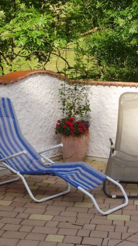 Pool / schwimmbad 'gartenanlage' haus im grünen zimmerschau