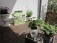 Garten: salon de jardin