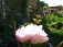 Garten: salon de jardin