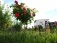 Garten: salon de jardin