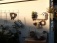 Garten: salon de jardin