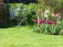 Garten: salon de jardin