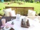 Garten: salon de jardin