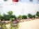 Garten: salon de jardin
