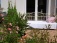 Garten: salon de jardin