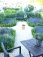 Garten: salon de jardin