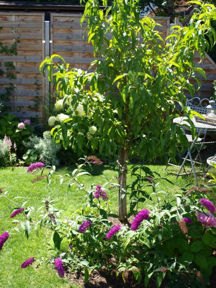 Garten: salon de jardin
