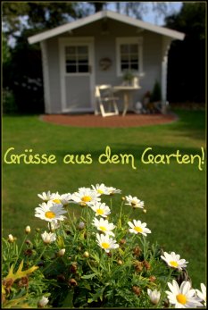 Ƹ̵̡Ӝ̵̨̄ƷSommer´1 2
