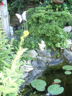Unser Garten