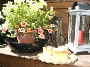 Kuchen 