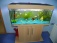 Mein Sohn sein ganzer stolz sein eigenes 190 liter Aquarium