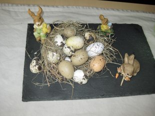 Frühjahr/Ostern 2013
