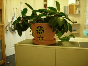 ♒ Badezimmer