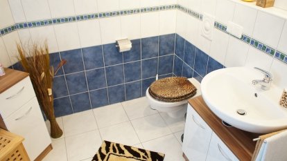 Badezimmer 2