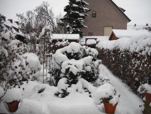 Mein verschneiter Garten Winter 2010/2011