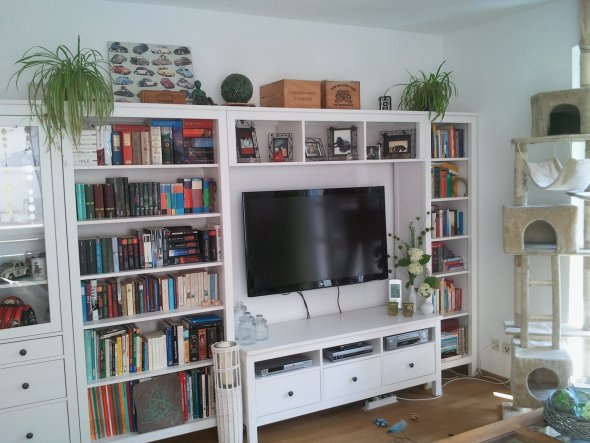 Wohnzimmer 'wohnzimmer mit essbereich' altbau traum zimmerschau