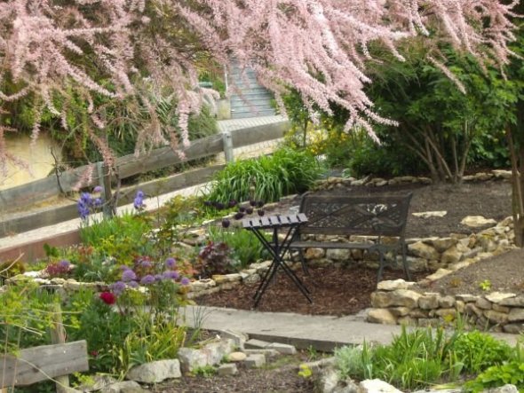 Der Sitzplatz im Frühjahr 2012 - im Vordergrund die blühende Frühlingstamariske