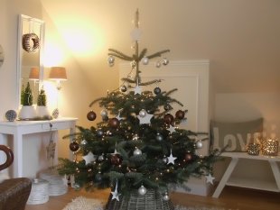 Advent in der Landlust  2011 und 2012