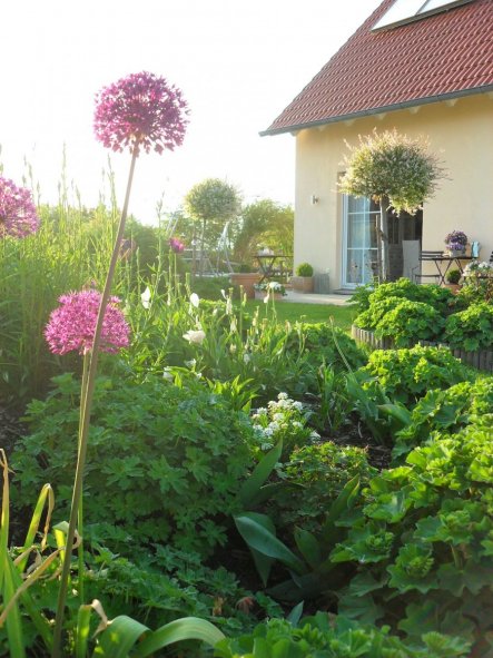 Garten 'Garten 2011' - OurHome - Zimmerschau