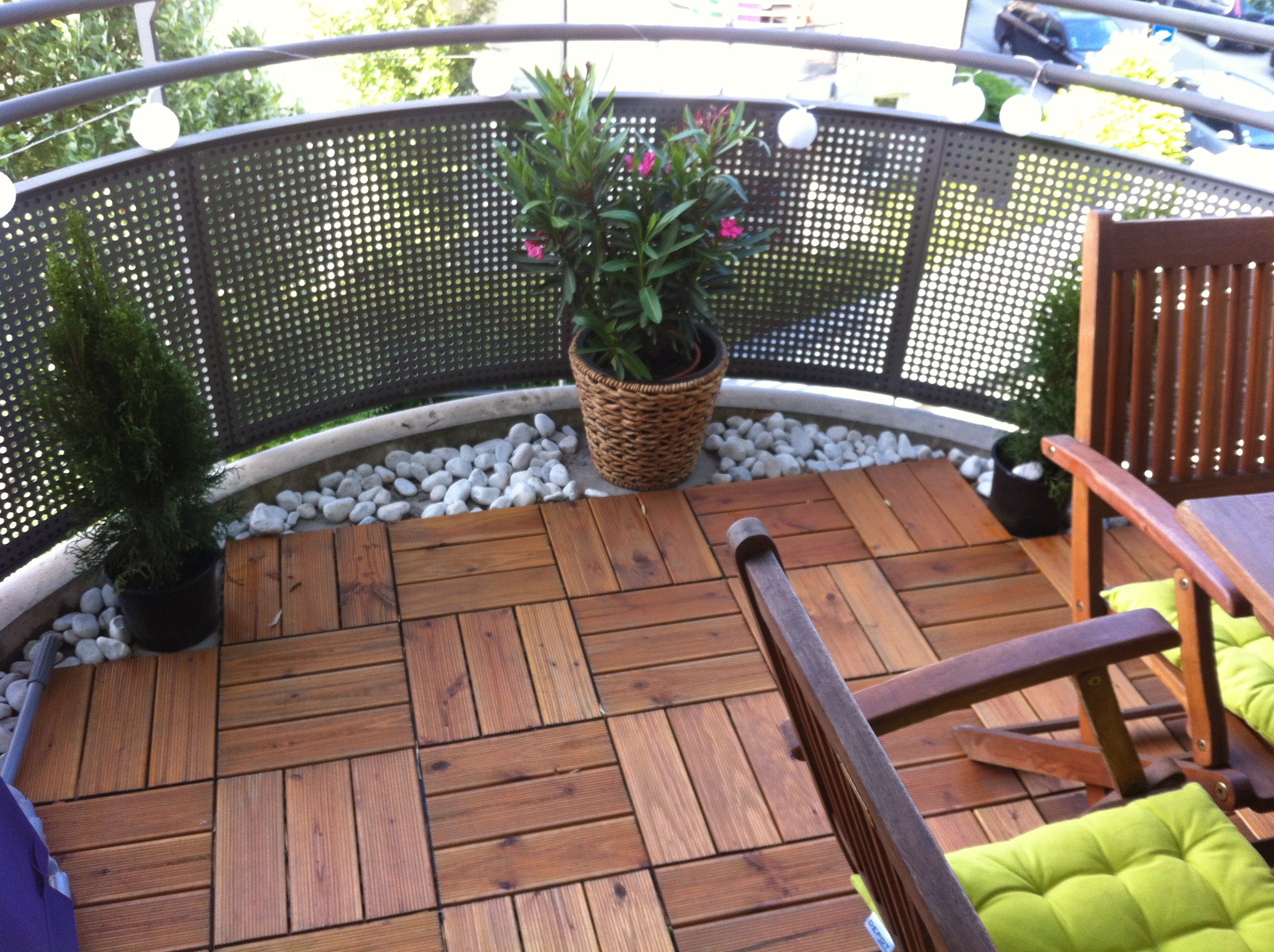 Bambus auf dem balkon: bambus infos gartengestaltung mit sichtschutz.