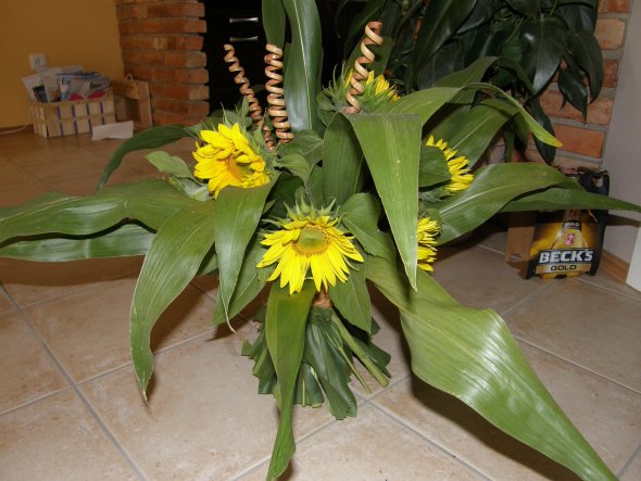 Deko: Blumen