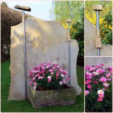 Spaziergang durch den Garten