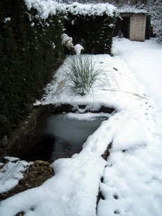 Garten Kunterbunt