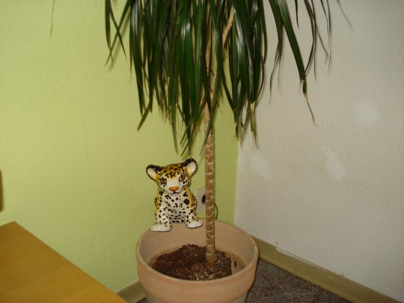 Schlafen: schlafzimmer