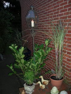 Meine Gartenecke
