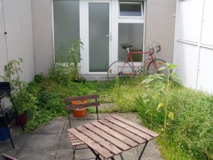 Dachterrasse 1