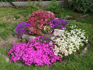 Unser Garten
