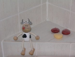Gäste WC