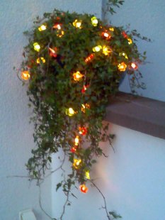 Hurra der Sommer er ist da